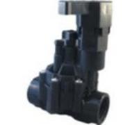 Rain Bird elettrov.100 DV ccf 1"24VAc F