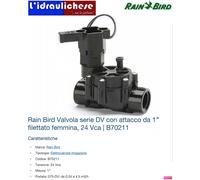 Rain Bird elettrovalvola 100 DV DC 24V 1" FF