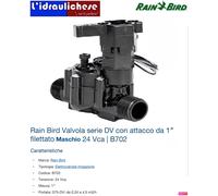 Rain Bird elettrovalvola 100 DV DC 24V 1" MM