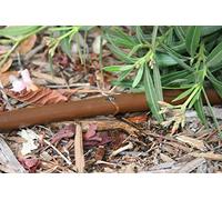 Rain Bird Tubo antigoccia Dripline XFD 16 mm, 33 cm equilibrante della pressione + autopulente, 2,3 l/h, colore marrone scuro (50 metri al metro)