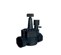 Rain Elettrovalvola irrigazione giardino 2" FF 24Vac impianto acqua RN160Plus