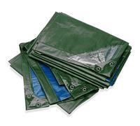 Rain Exo RX250-3X4-GB Tela Cerata, 3 x 4 m, 250 g/m², Occhielli Inclusi