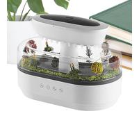 Rain Humidifier - Diffusore umidificatore | Umidificatore di pioggia per camera da letto | Diffusore olio di aromaterapia con 7 colori che cambiano luci per la casa yoga indoor |