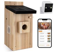 RAINBEAN Casetta per uccelli con telecamera NW-E1 - 4 MP, osservazione uccelli in tempo reale, riconoscimento AI, fai-da-te