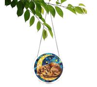 Rainbow Acrylic Suncatcher, Prismatics Window Light Catcher Decor, 7.82 In Round Sign with Reflection, Clear Acrylic Ornament, Hanging Sun Catcher with Puzzle Animal, Garden Door Decor for Mom Grandma