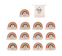 Rainbow Baby Monthly Milestones | Carte mensili in legno per bambini | Annuncio del mese del bambino colorato, carte miliari mensili per bambino