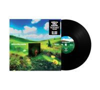 Rainbow Kitten Surprise - bones