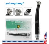 Rainbow NSK Style Dental High Speed Handpiece 2/4Hole