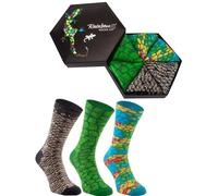 Rainbow Socks - Donna Uomo Divertenti Rettili Calze - 3 Paia - Serpente Camaleonte Alligatore - Taglia 41-46