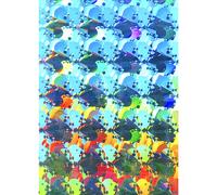 Rainbow Symphony - Pellicola per finestre acchiappasole arcobaleno, pellicola per finestre a diffrazione, pellicola per vetri colorati, pellicola