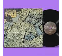 Rainbows Are Free - Waves Ahead Of The Ocean