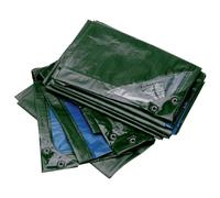 Rainexo telone Verde/Blu