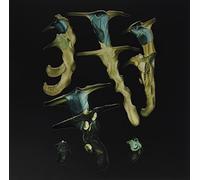 Rainforest Spiritual Enslavement - Jellyfish Reproduce Black Magic