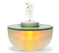 Rainpal Umidificatore Umidificatore per camera da letto, silenzioso, piccolo umidificatore 1,2 l, Low Decibel Below 20 dB, 6 velocità regolabile, interruzione di corrente intelligente, per la stanza