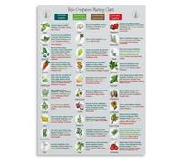 Raised Bed Companion Guide Poster for Greenhouse Indoor Decor
