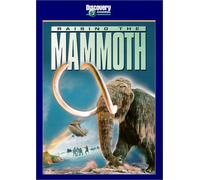 Raising the Mammoth