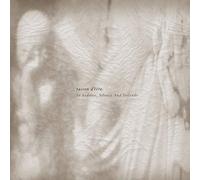 Raison d'etre - In sadness, silence and… (2 LP)