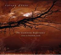 Raison D'etre - Luminous Experience, The