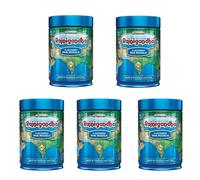 Rajnigandha Premium Aromatizzato Pan Masala Bocca Deodorante Tin Dabba Pack 5...