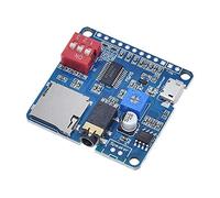 RAKSTORE Modulo di riproduzione vocale DY-SV5W Lettore musicale MP3 UART I/O Trigger Amplificatore classe D 5W SD/TF Card