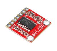 RAKSTORE OEP30W Mono Amplificatore Digitale Modulo Amplificatore Scheda Classe D 12V LCD TV