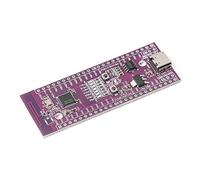 RAKSTORE W801 Microcontroller 32 Bit WiFi Bluetooth Dual-mode SoC Development Board LoT MCU Module