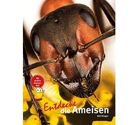Ralf Klinger Entdecke die Ameisen (Entdecke - Die Reihe mit d (Copertina rigida)