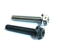 Rally Auto M5 X 10-30 Doppio Drive Titanio Gara Spec Viti Bulloni Ti Torx N Rust