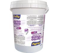 Rally Car Passion Dermo Paste Care Pasta Lavamani PH 7,5 4L