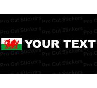 Rally Etichetta Cognome Adesivi Piccolo/Grande Inghilterra Scozia Irlanda Wales