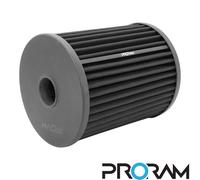 RAMAIR Performance Ricambio Filtro Aria Pannello Per Audi RS6 RS7 4.0 TFSI C7