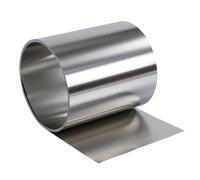 RAMBEX 1 Striscia di Lamina in Acciaio Inossidabile 304 da 30 Mm, Spessore 0,1 Mm, 0,2 0,3 0,4 0,5 1 Mm, Lamiera Sottile, Bobina di Acciaio da 1000 Mm(Thickness 0.2mm)