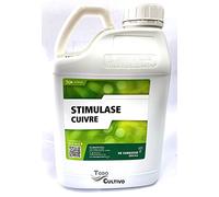 Rame liquido 5 litri chelato di rame per piante di circa fogliare e radicolare. Protezione e quarazione di colture danneggiate