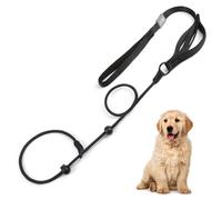 RAMGLYO 1 guinzaglio per cani con comoda maniglia regolabile collare sottile guinzaglio forte robusto anti-trazione anti-soffocamento corda da addestramento per cuccioli all'aperto cani di taglia