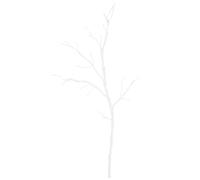 Rami Decorativi Degli Alberi Secchi Arredamento Della Casa Per Decorazione