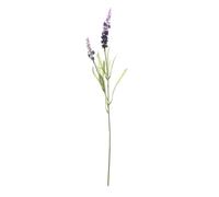 Rami di lavanda Eden, fiore sintetico, da 61 cm
