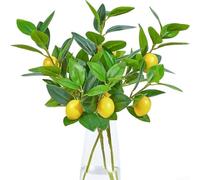 Rami di limone artificiali, confezione da 4 per decorazione di vasi, con texture realistica, in schiuma, agrumi e vegetazione di seta, per esposizione interna tutto l'anno