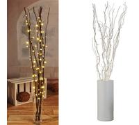 Rami luminosi argento con 80 LED ramo luminoso illuminazione decorazione ramo