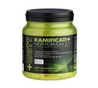 Ramificati+ Vitamin B Loading Advanced Formula, 330 g