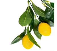 Ramo di limone in PPC con finitura resistente allo sbiadimento per portici illuminati dal sole, verande e spazi da giardino chiusi in vetro (stile B)