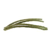 Ramo verde pieghevole Piccolo animale domestico rampicante lucertole PU arrampicata vite lucertole telaio arrampicata PU resto accessori per animali domestici ramo rampicante per rettili gabbia grande