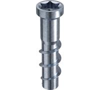 Rampa Manicotti tipo TSM M6 x 40 per calcestruzzo e muratura - Manicotti a vite con azionamento a esagono incassato TX50, ETA-23/0542, in acciaio zincato, 10 pezzi