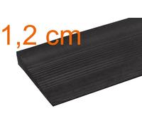 Rampa Piatta Per Superare La Soglia Della Porta Per Sedia A Rotelle E Rollator