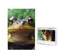 Rana che guarda nella fotocamera Puzzle 1000 pezzi Puzzle personalizzato Puzzle in legno per adulti Foto Puzzle Art Wall Hanging Decor per compleanno, matrimonio, San Valentino