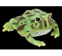 Rana Giardino - Esotico Hornfrosch - Anfibio Animale Decorazione Regalo - H 4
