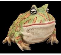 Rana Giardino - Realistico Bullenfrosch - Anfibio Animale Decorazione Realistico