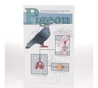 Ranaco W496912 - Guida alla dissezione a T, grado: da 1 a 12, altezza 0,6 cm, larghezza 13,6 cm, lunghezza 21,3 cm