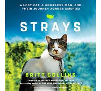 randagi: un gatto perduto, un senzatetto e il loro viaggio attraverso l'America