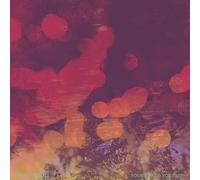 Randall,Randy - Sound Field Vol.2020