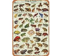 Rane e rospi del mondo, poster in metallo retrò decorativo per la casa vintage latta Sign 30,5 x 20,3 cm